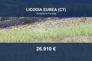 Immobile in asta di 23925 m² a Licodia Eubea