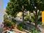Immagine 28