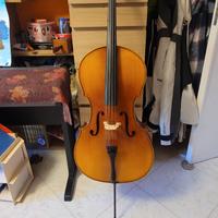 Violoncello 3/4 studio