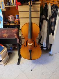 Violoncello 3/4 studio