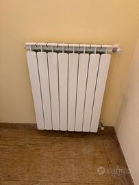 Radiatore Termosifone riscaldamento
