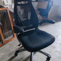 Sedia Ufficio Ergonomica con Supporto Lombare