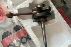 albero ciao piaggio nuovo