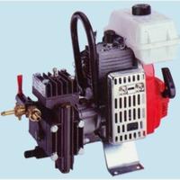 Motopompa Dal Degan DL 218 professionale