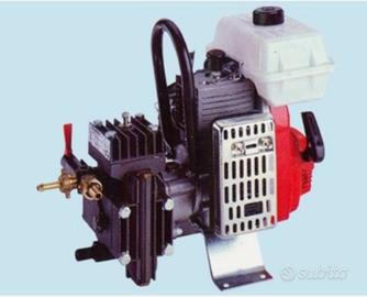 Motopompa Dal Degan DL 218 professionale