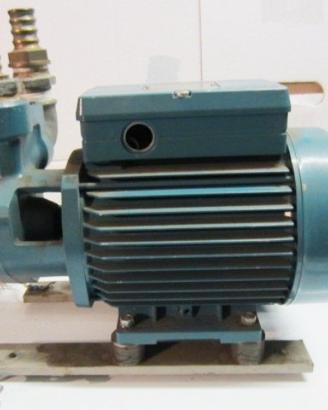 Motore Calpeda 0,55 con pompa