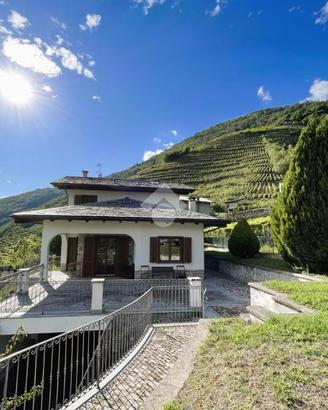 VILLA SINGOLA A BIANZONE