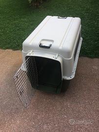 Box trasporto auto per cane grande