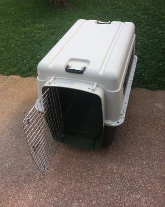 Box trasporto auto per cane grande