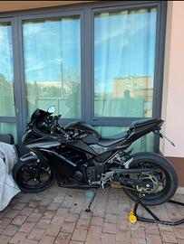 Kawasaki Ninja 300