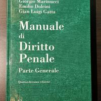 Manuale diritto penale quattordicesima edizione