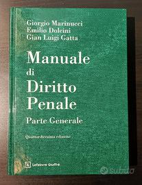 Manuale diritto penale quattordicesima edizione