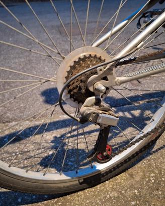 Bici Mtb