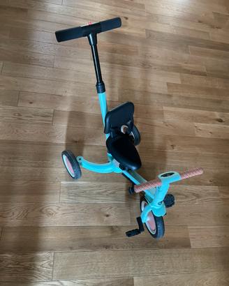 Triciclo evolutivo