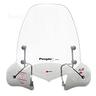 parabrezza-faco-kymco-people-s-300-aste-vernicia
