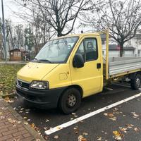 Fiat ducato 2.3JTD MAXI cassone
