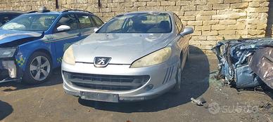 Ricambi Peugeot 407 Coupè 2.7 D del 2006