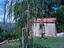 Immagine 5