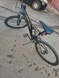 bicicletta