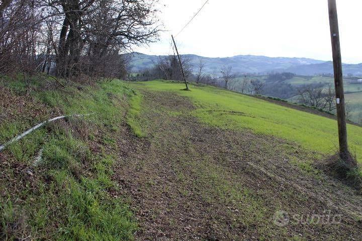Immobile in asta di 43309 m² a Meldola - Vista 3