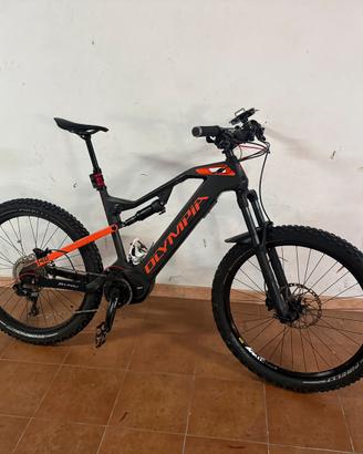 E-MTB
