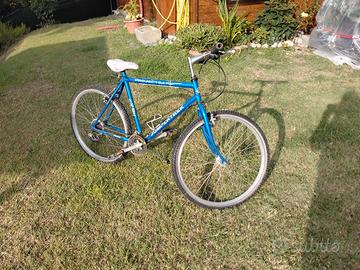 mountain bike modello Jumpertrek