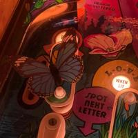 Flipper Farfalla Zaccaria