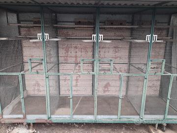 gabbia per uccelli voliera 