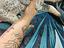 Immagine 6