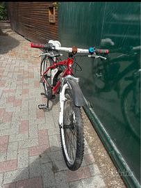 Bicicletta