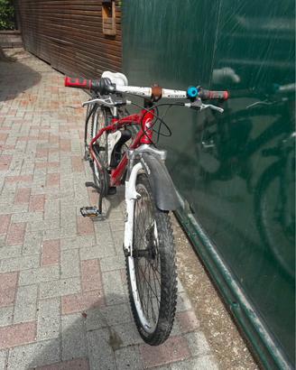 Bicicletta