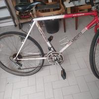 bicicletta mountain bike