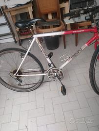 bicicletta mountain bike