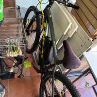 Bici elettrica custom