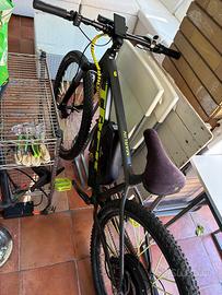 Bici elettrica custom