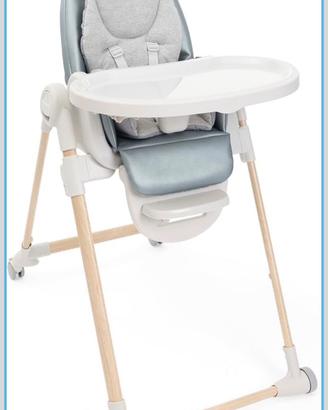 Seggolone evolutivo chicco