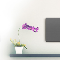 SC-HC1020 - Sistema Micro Hi-Fi