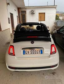 500 ibrida