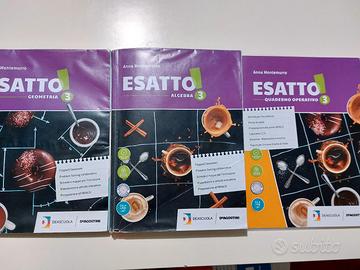 libri scuola media - matematica 3 classe 