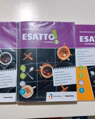 libri scuola media - matematica 3 classe 