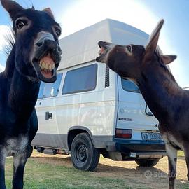 van camper