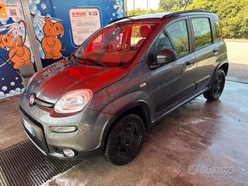 Panda 4x4
