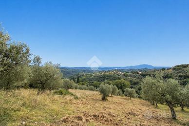 TER. AGRICOLO A TORRI IN SABINA