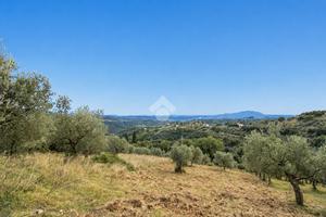 TER. AGRICOLO A TORRI IN SABINA