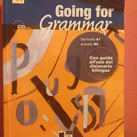 Libro grammatica inglese