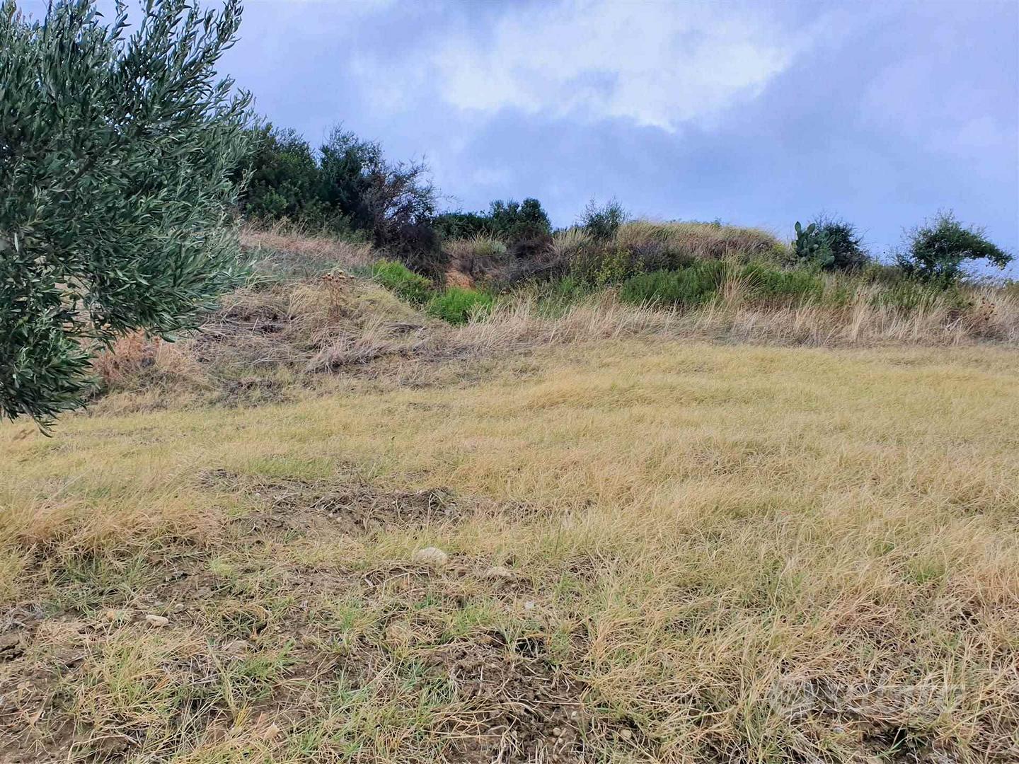 Rif.RI233| terreno agricolo borgia - Vista 5