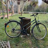 Bicicletta da donna