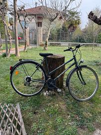 Bicicletta da donna