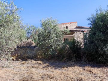 Oliveto con casa appoggio e pozzo a 5 mn dal mare