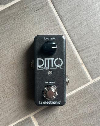 Ditto Looper TC Electronics